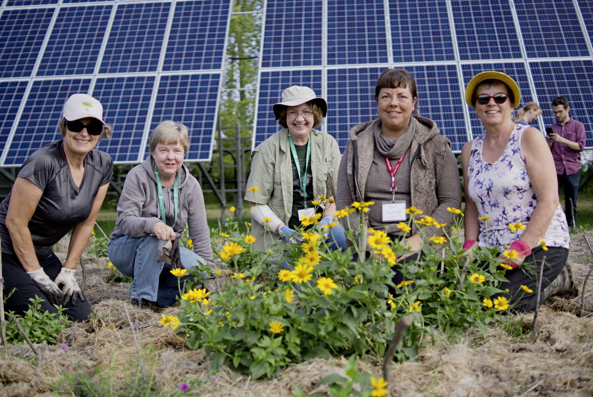 FortWhyte staff and volunteers planting flowers in front of the solar panels