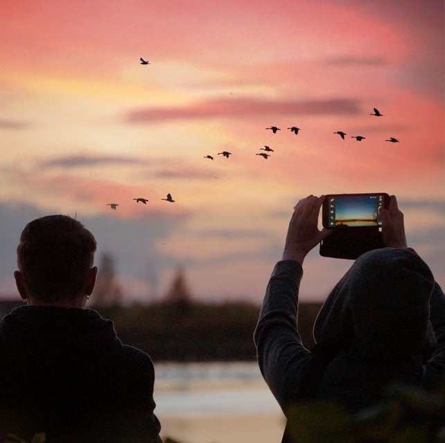 Two people watching geese fly over the lake at sunset
