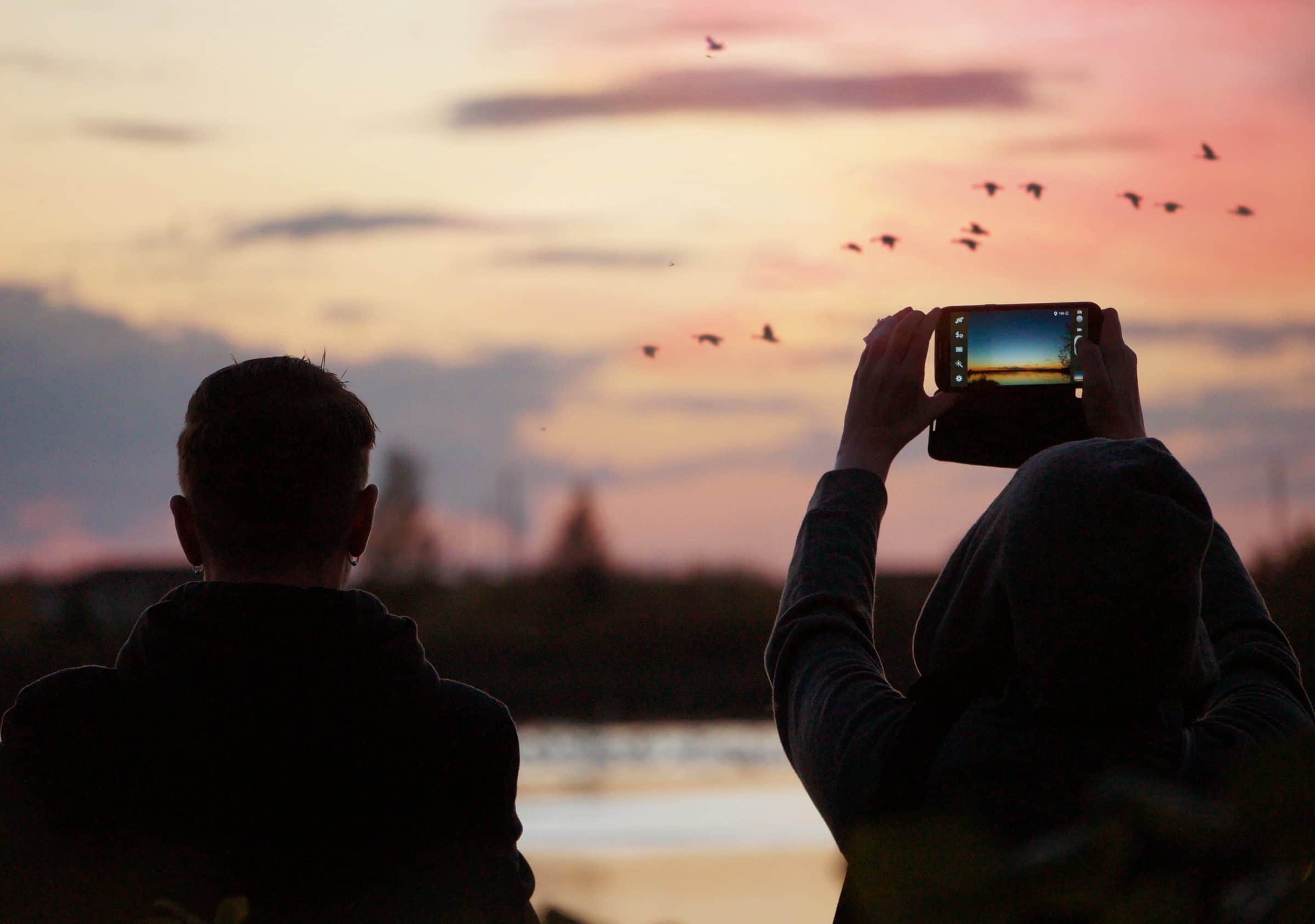 Two people watching migration at sunset