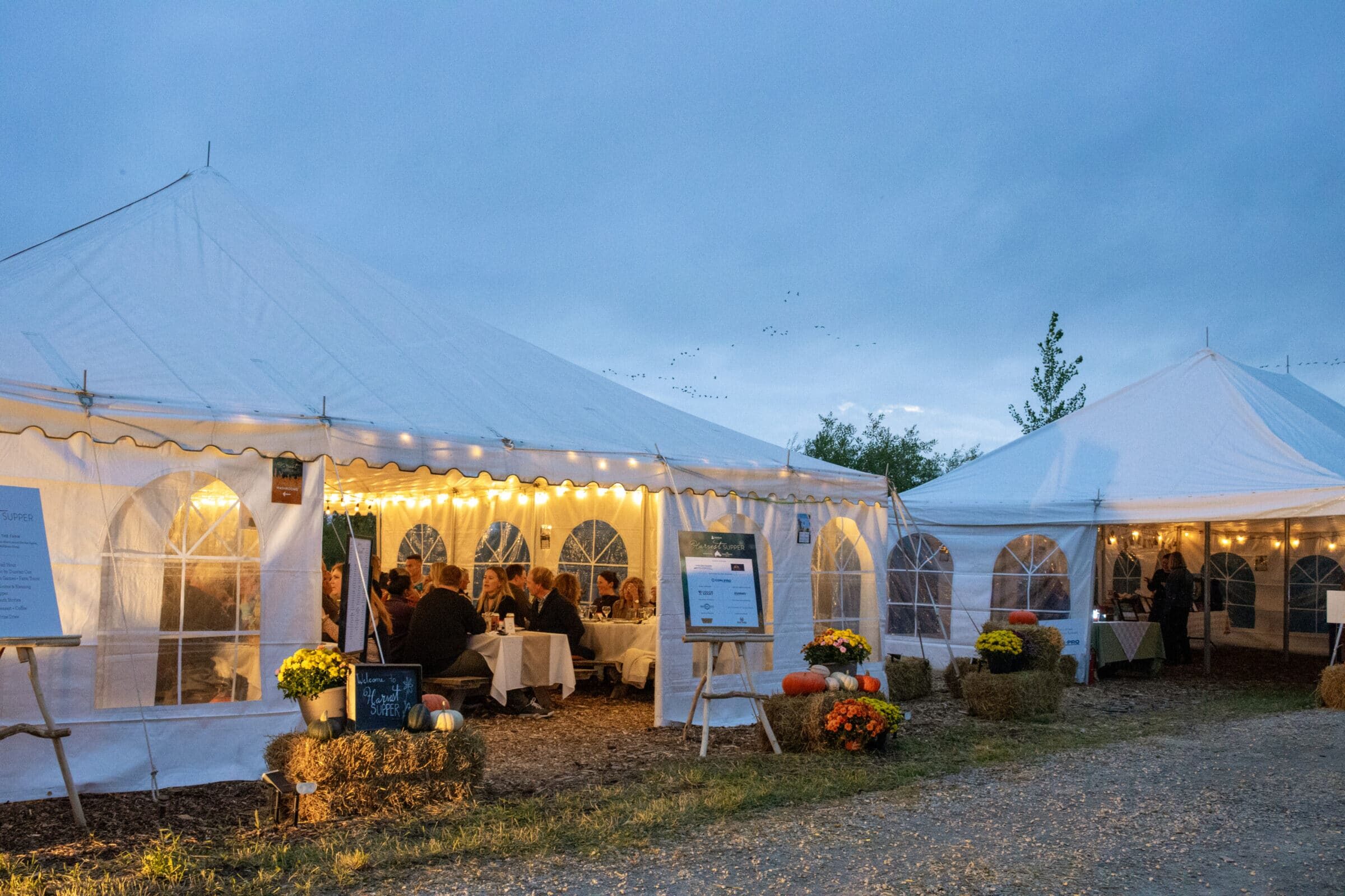 Photo of a tent outside in lights with people inside the tent