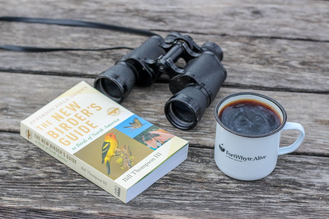 Binoculars, coffee and birding book