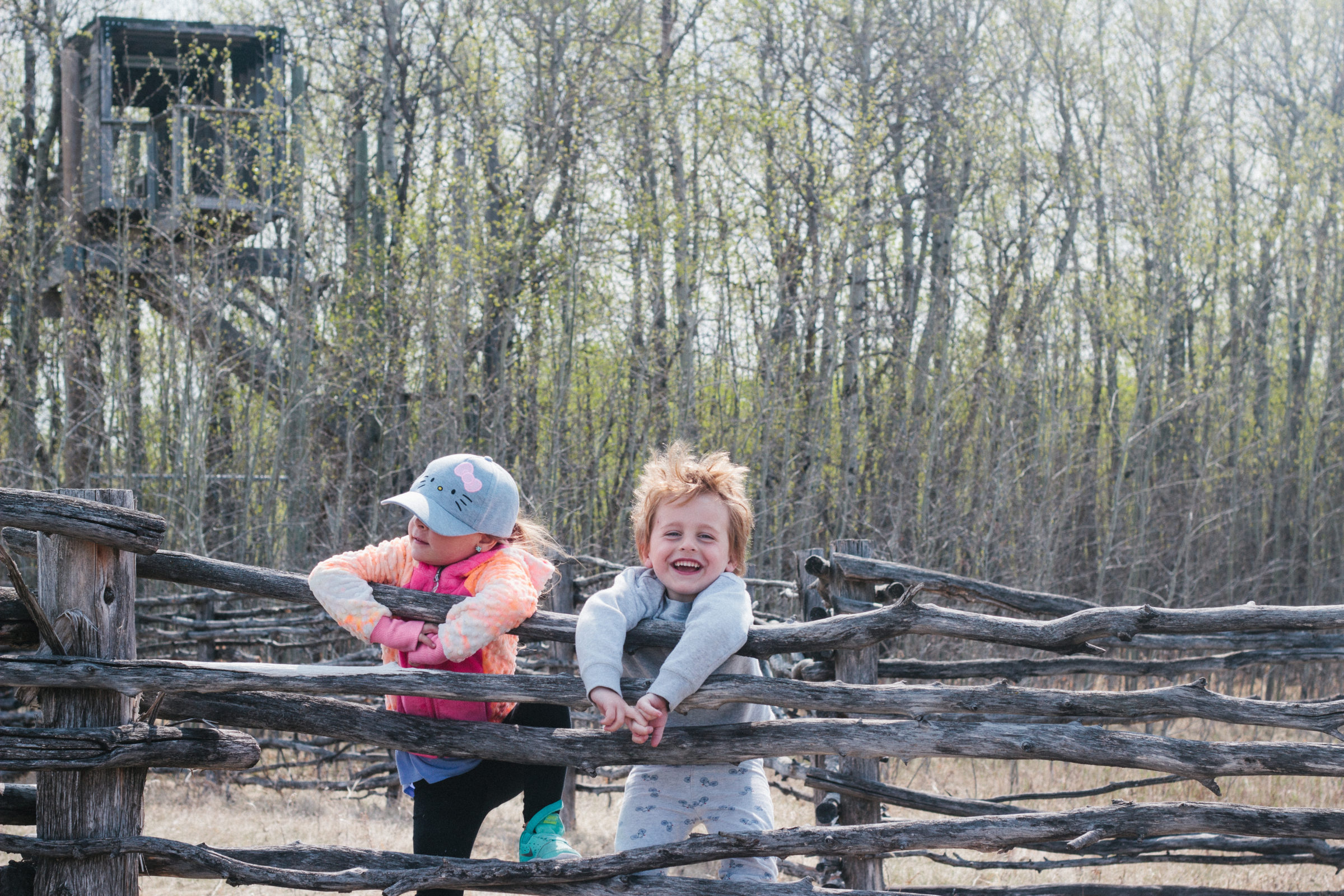 Two children climbing over wooden fence