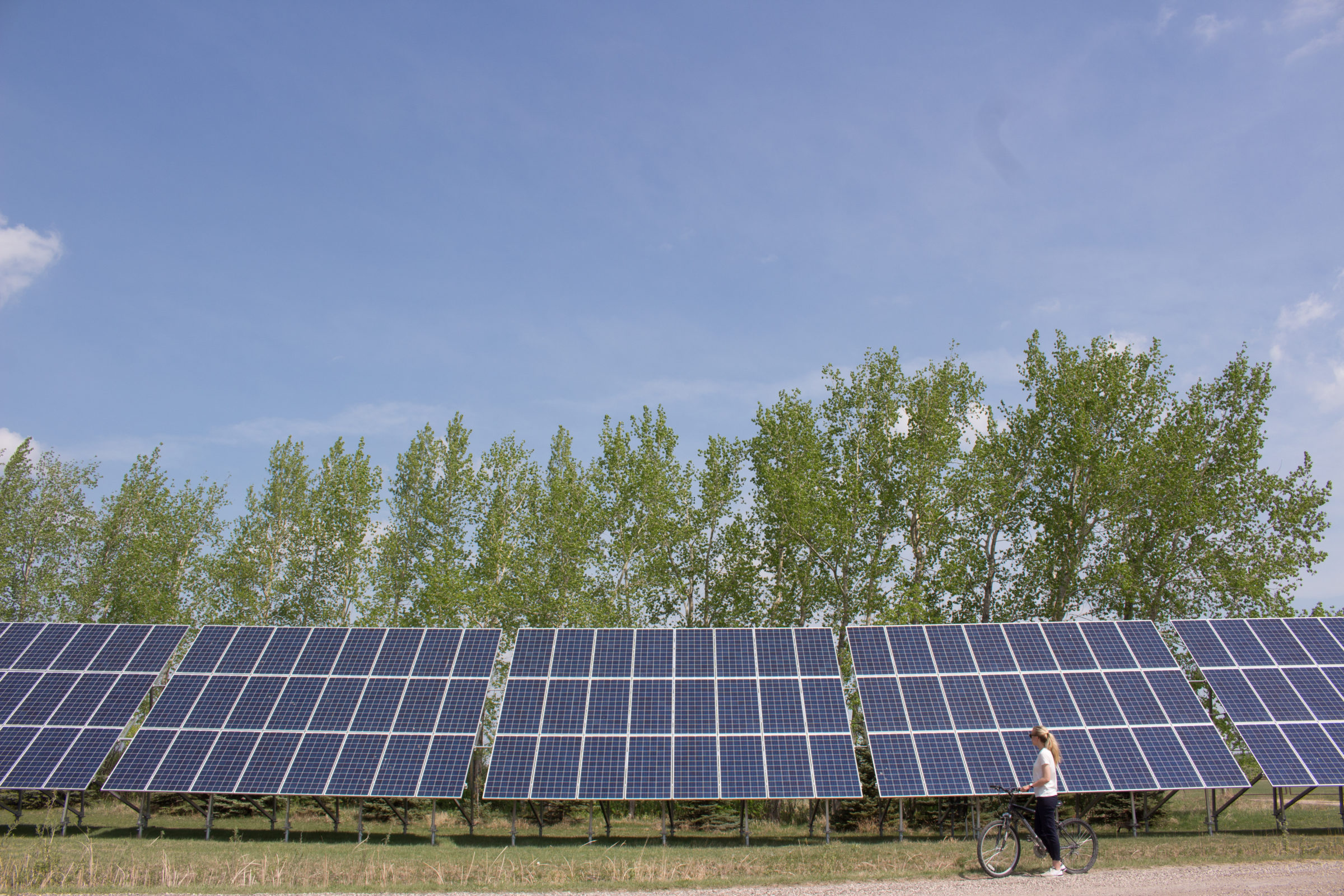 Individual on bike looking up at the FortWhyte solar panels in summer