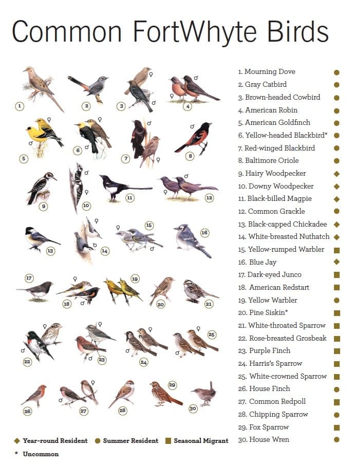 Birding guide