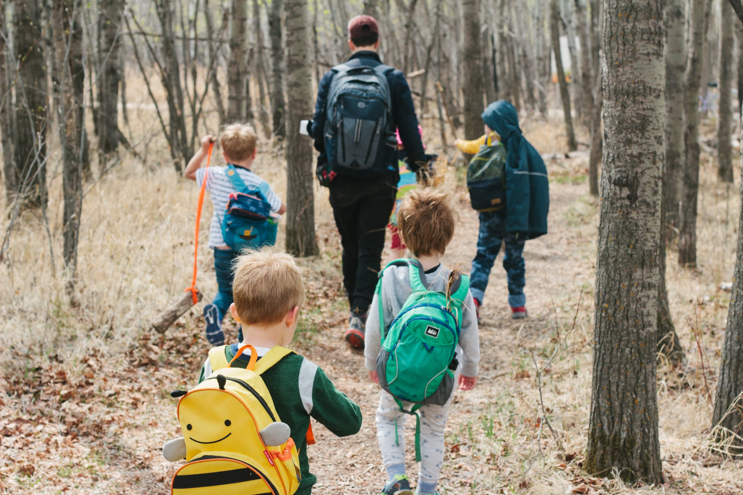 Group of children with backpacks walking through the forest.