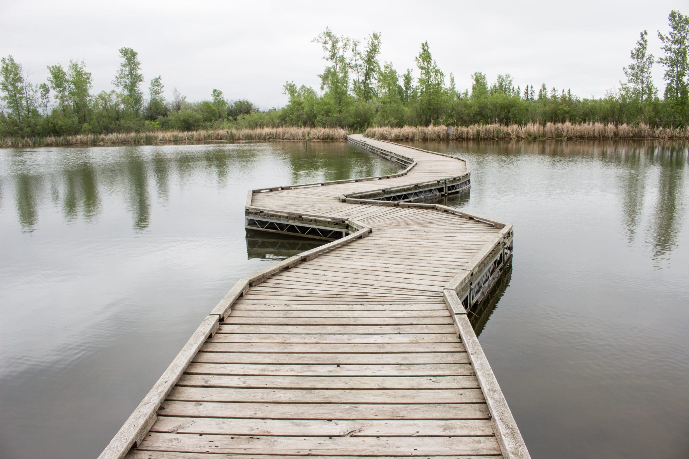 Floating boardwalk