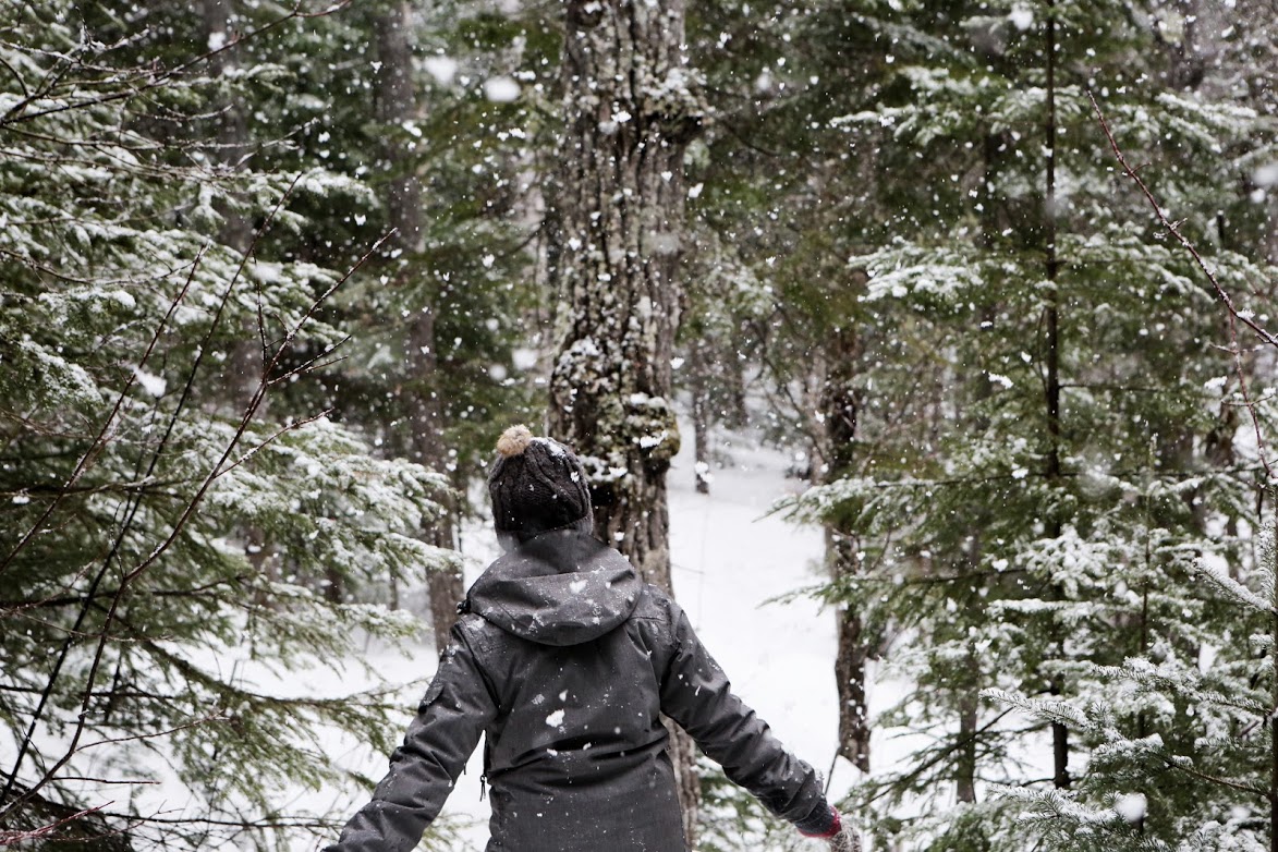 An adult walks through a forest while it is snowing.