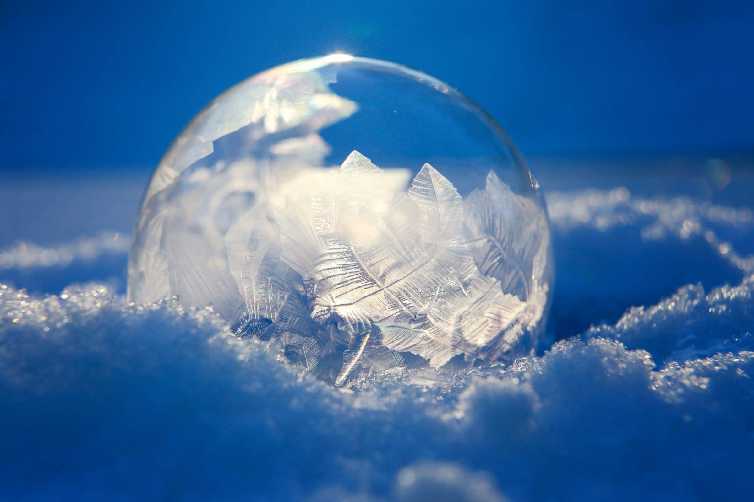 A frozen bubble sits in a pile of snow.