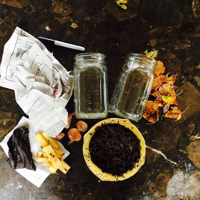 Supplies for composting in a jar are laid flat on a table.