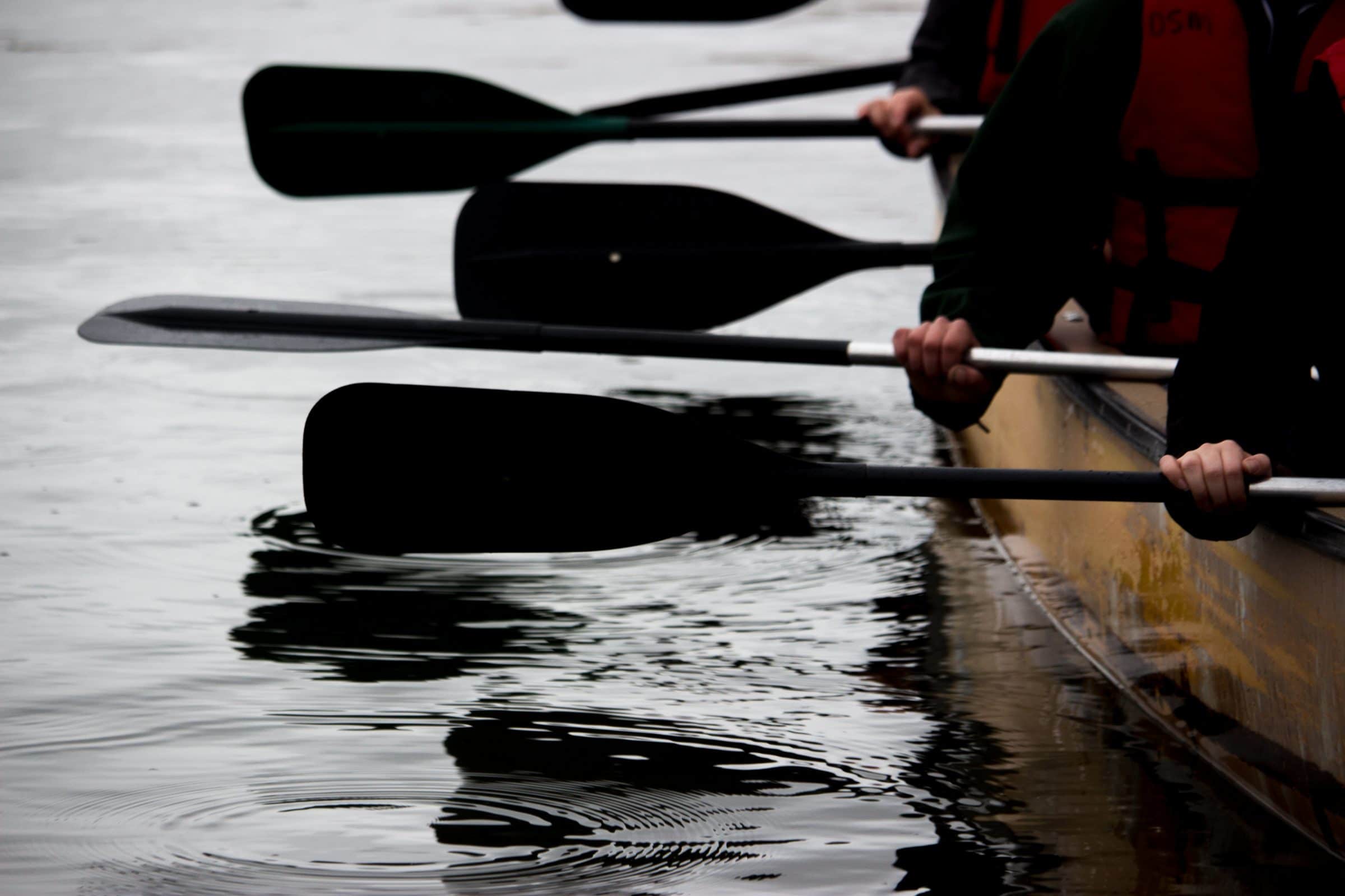 Paddles sticking out from side of canoe.