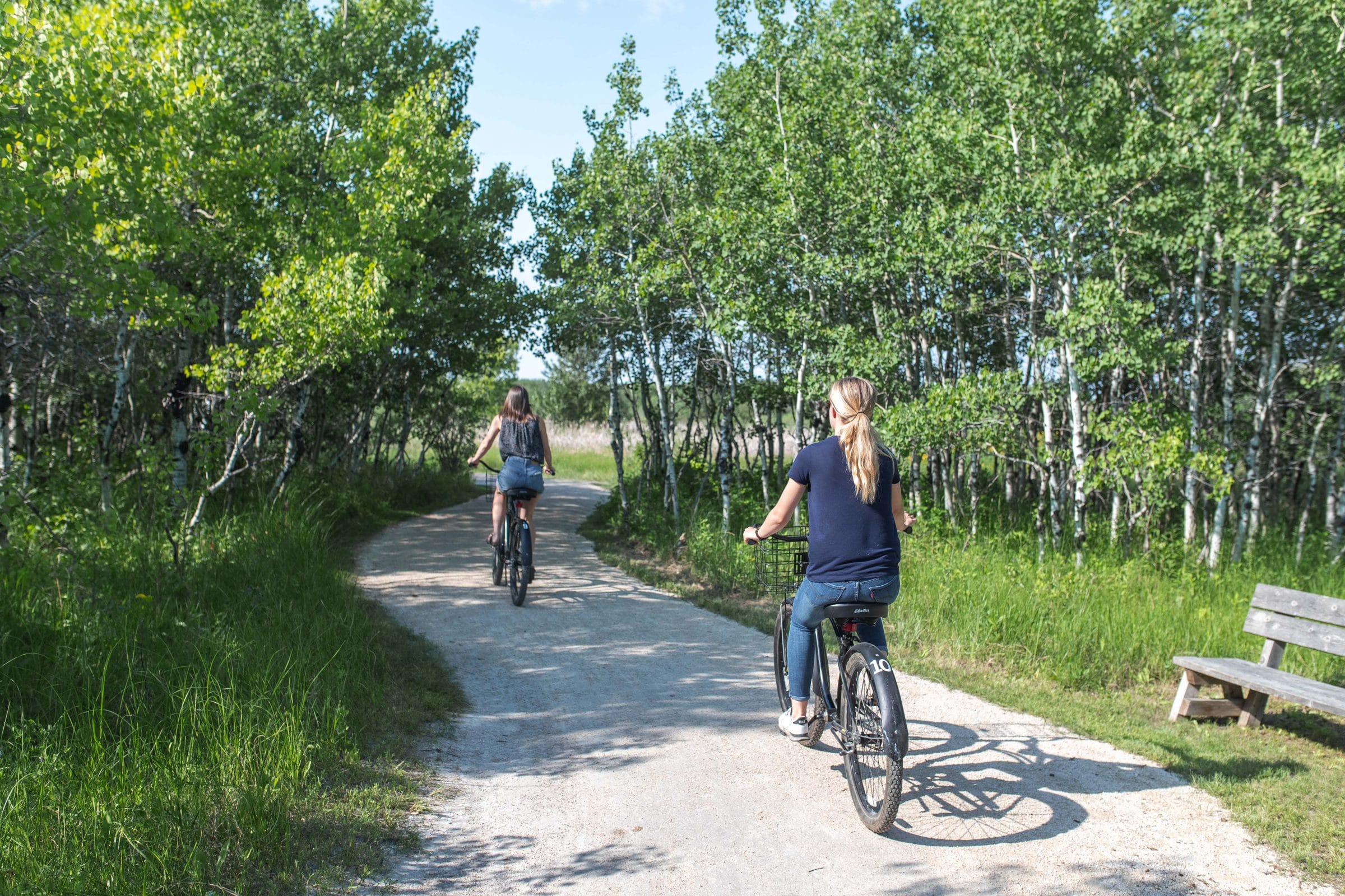 Two people biking on a FortWhyte Alive trail.