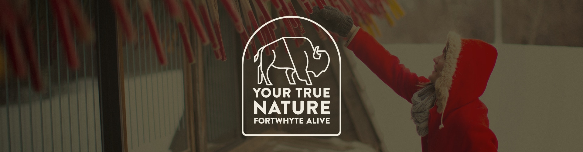 Your True Nature banner featuring Buffalo motif