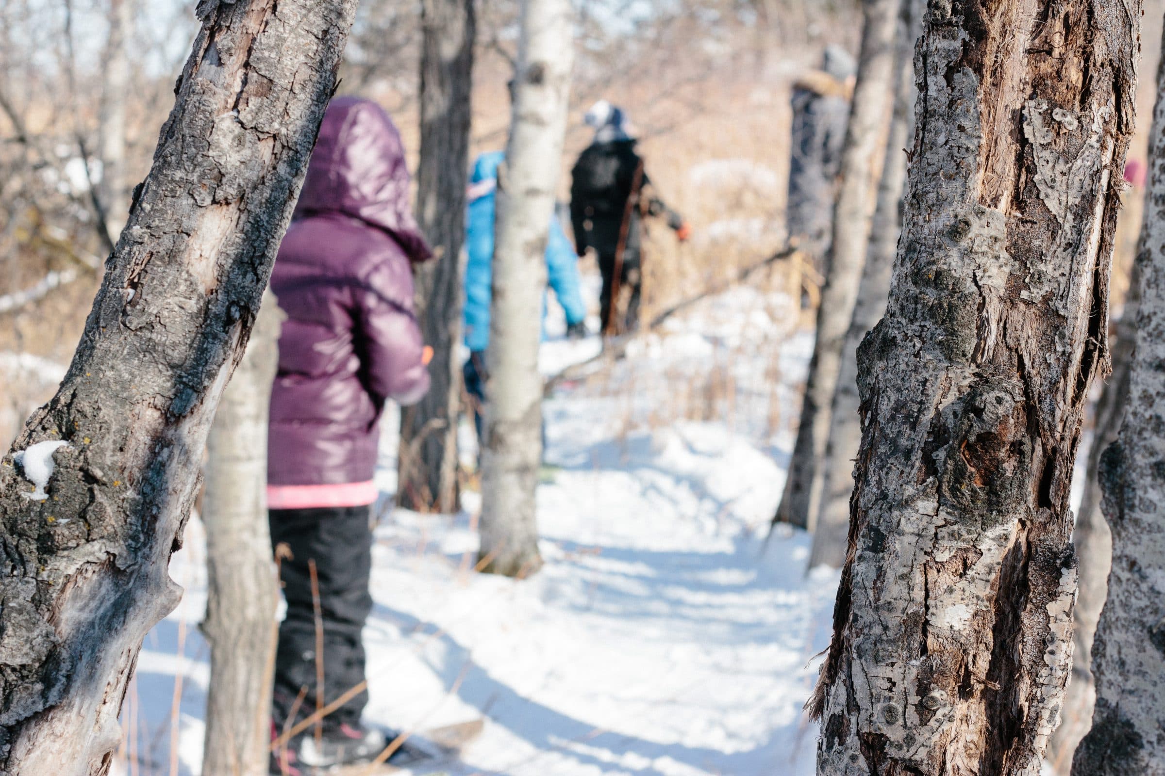 Students walking through trees on snowshoes.