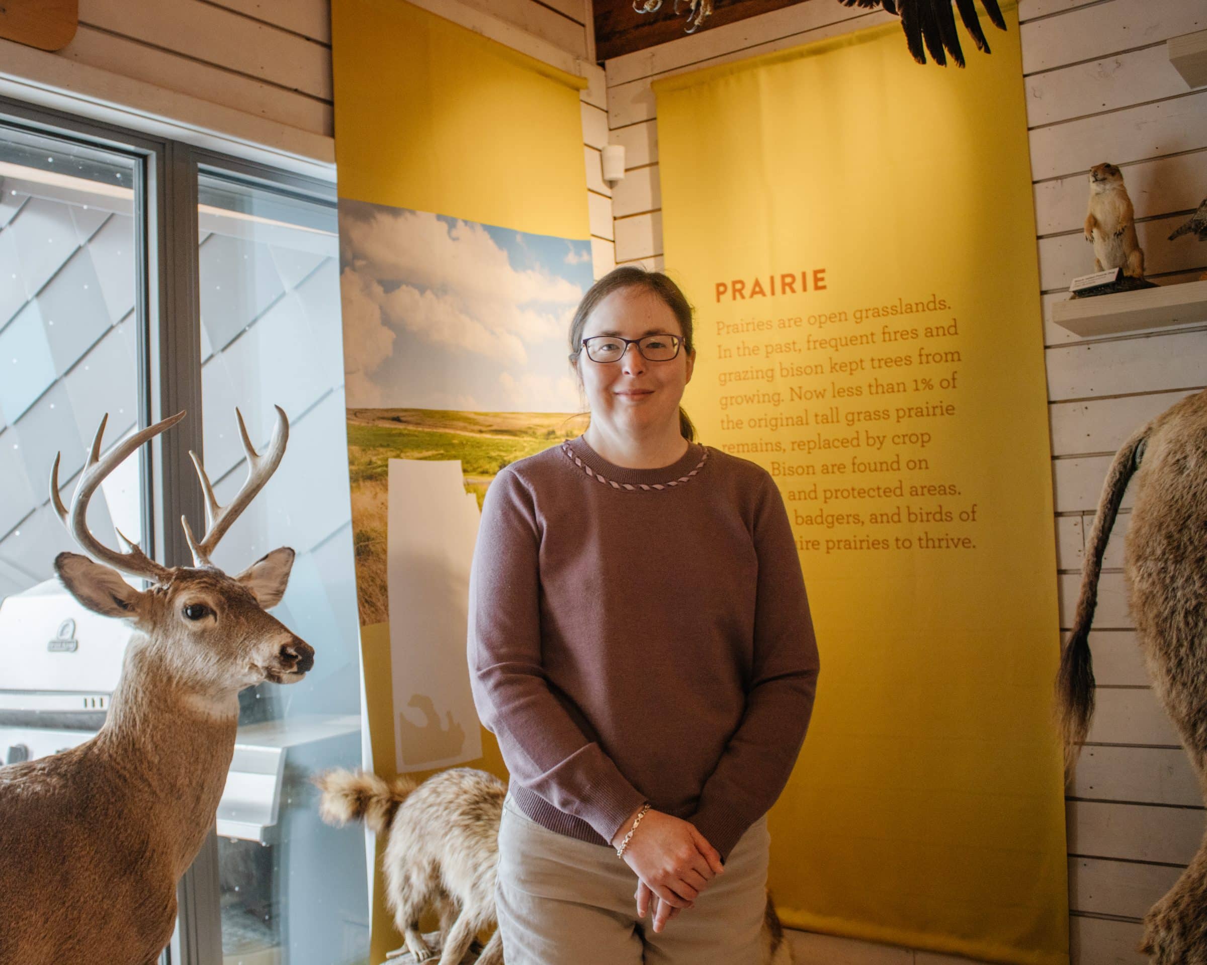 Erin stands in touch museum in front of taxidermy deer, and informational banner reading "prairie".