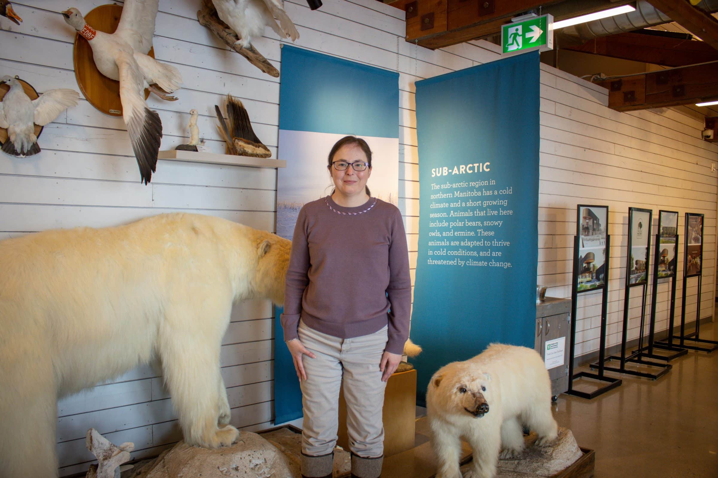 Erin stands in touch museum in front of taxidermy polar bears and informational banner reading "arctic".