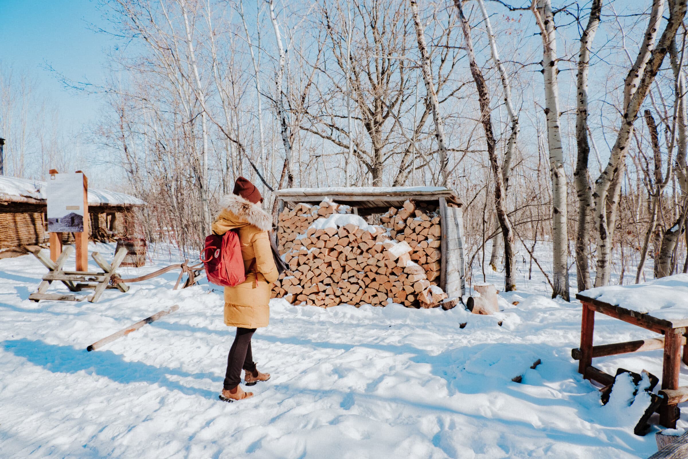Person stands in front of shed holding piled of chopped wood.
