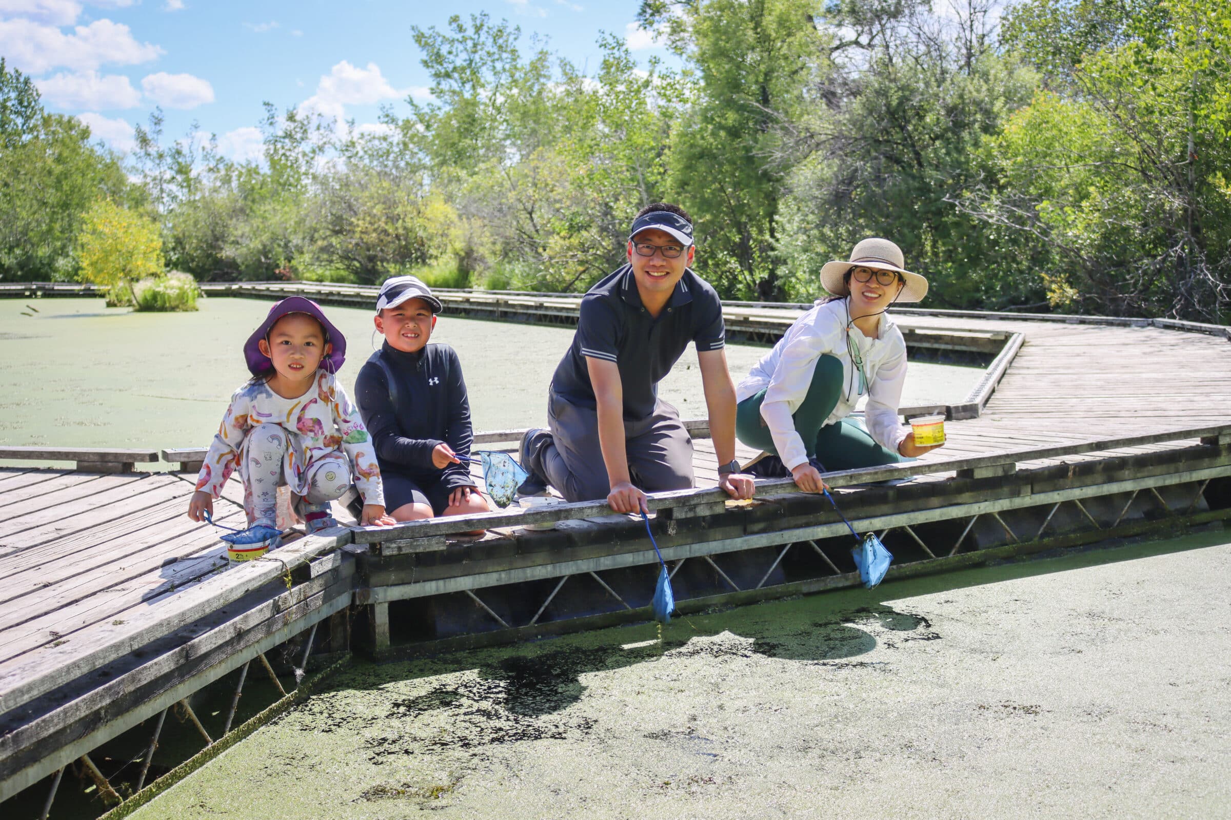 Family kneeling on boardwalk over wetland holding dip nets.