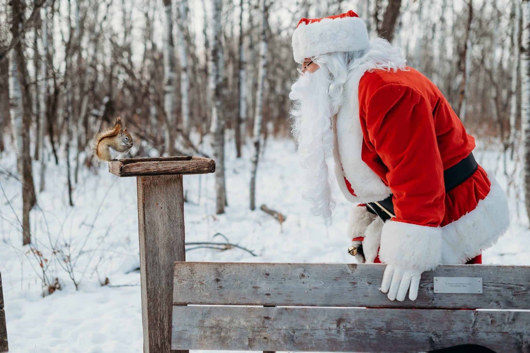 Santa leans forward to talk to squirrel