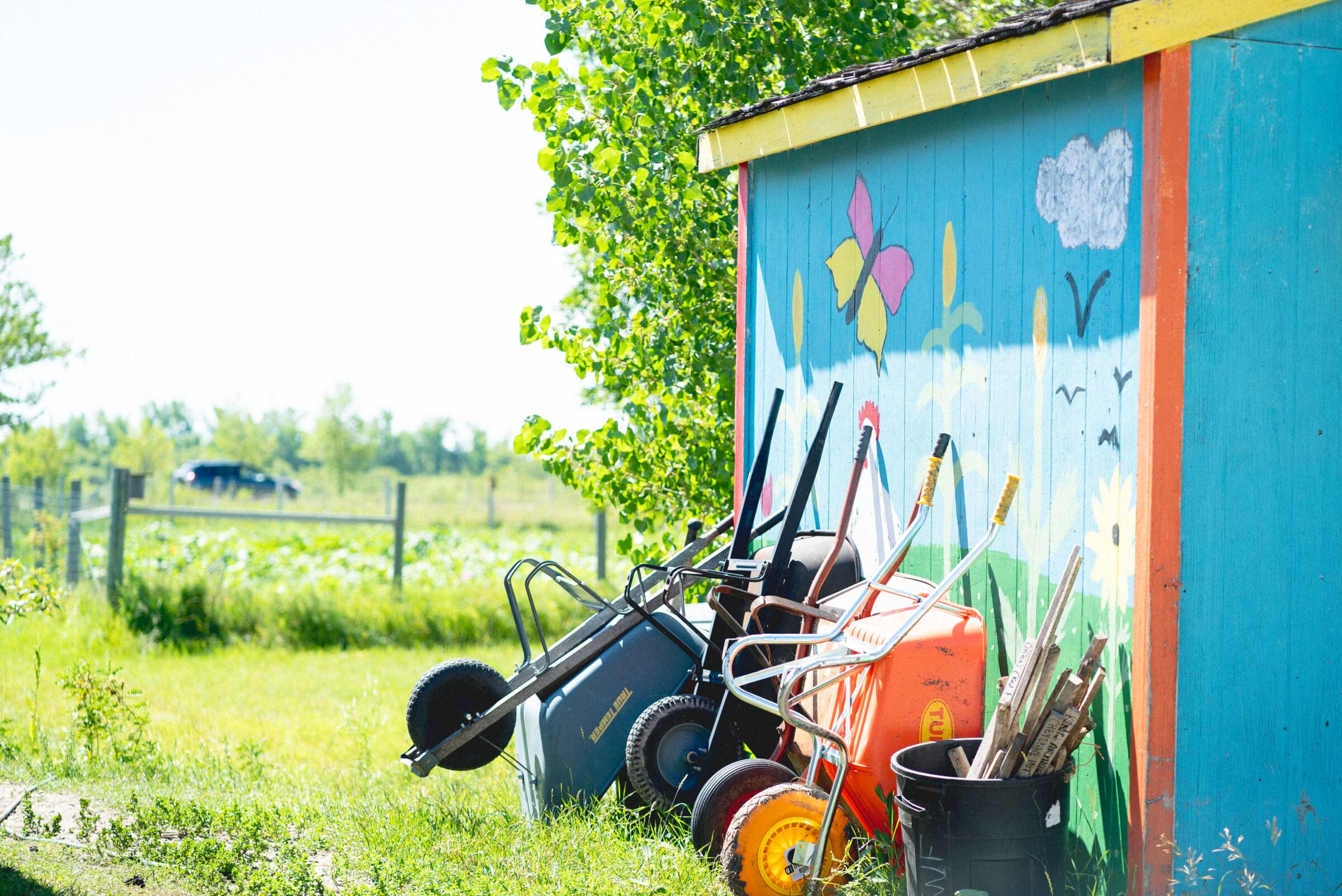 wheelbarrows lean against colourful shed