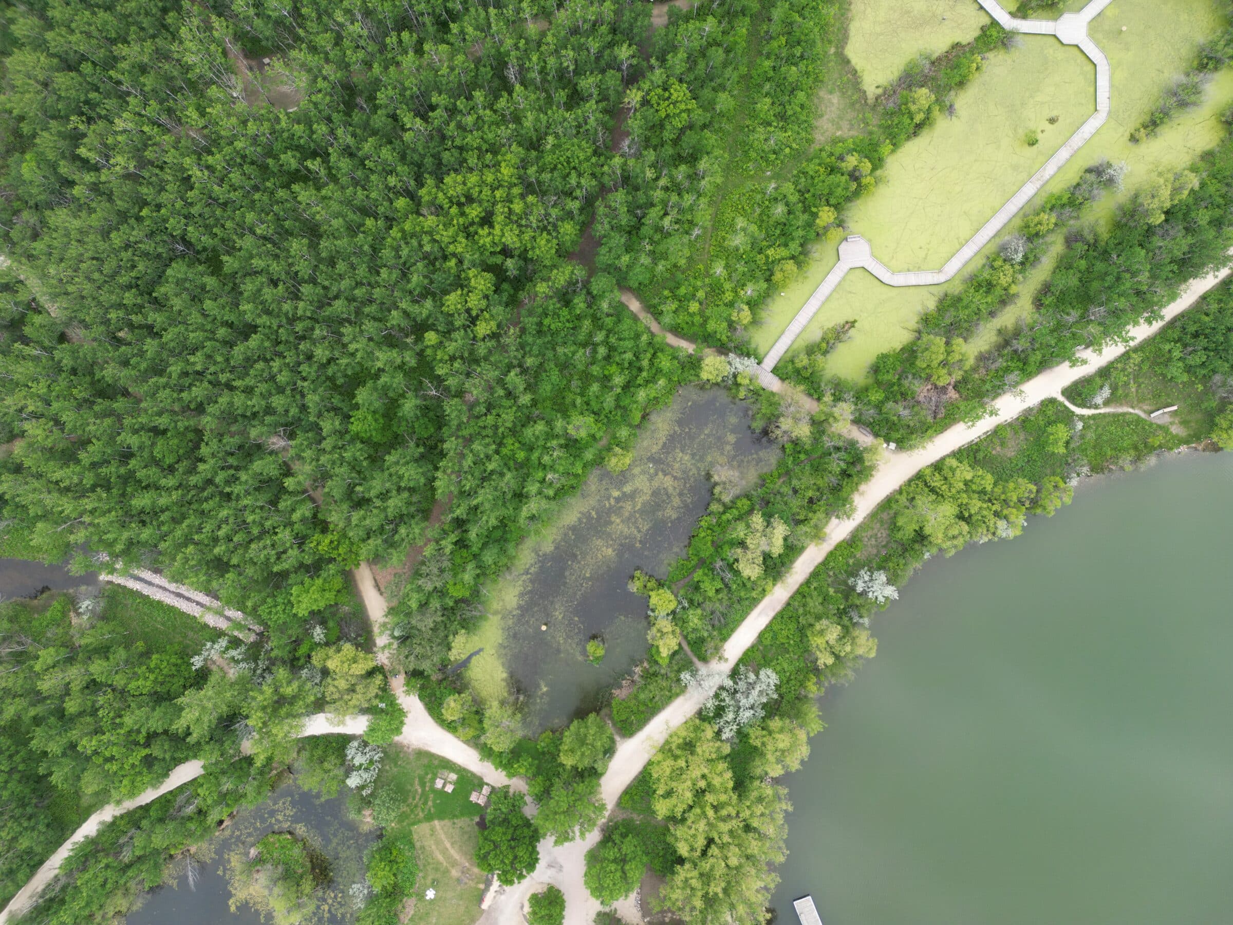 drone view of FortWhyte site including wetlands, trails, and lake