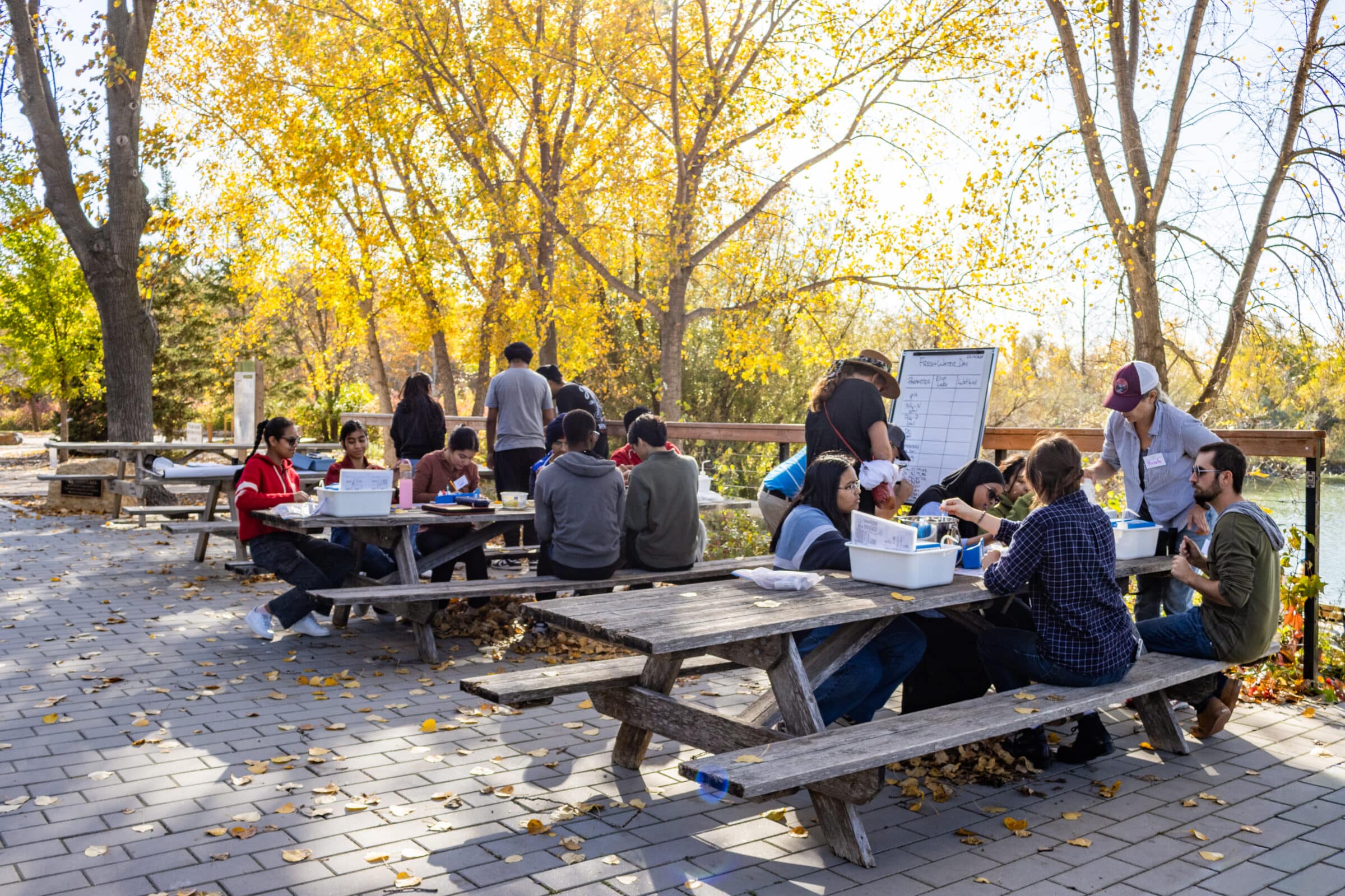 students test water samples at picnic tables